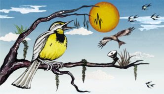 AI bird migration